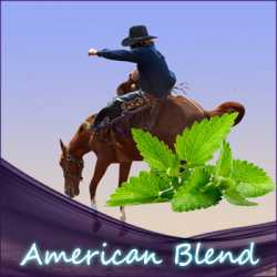 Liquid Mentho-American Blend