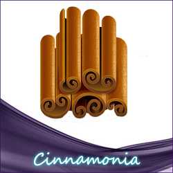 Liquid.de - Cinnamonia Aroma leichte Zimtnote