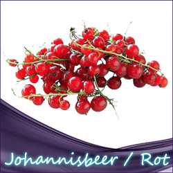 Johannisbeer / Rot Liquid