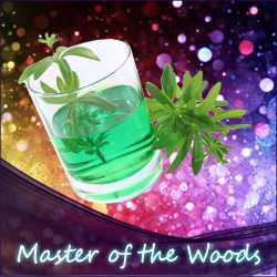 Liquid.de - leckeres Master of the Woods Aroma - Waldmeister mit Cumarinnote