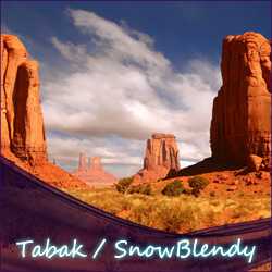 Tabak / SnowBlendy (USA) Liquid 10ml - fein, weich, urwüchsig