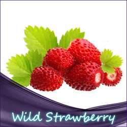 Wild Strawberry Liquid 10ml - feine, reife und intensive Erdbeere