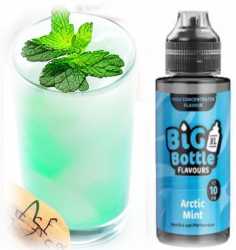 Artic Mint Minze Menthol Big Bottle 10ml Liquid Aroma in 120 ml Flasche
