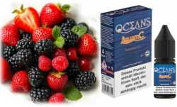 Atlantic Oceans Brombeeren Erdbeeren Himbeeren Johannisbeeren Kühle 10ml Nikotinsalz