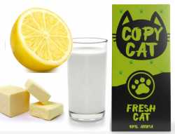 » AUSVERKAUFT « Buttermilch Zitrone Fresh Copy Cat Aroma 10ml