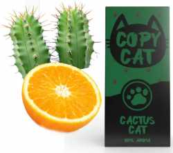 Kaktus Orange Cactus Copy Cat Aroma 10ml