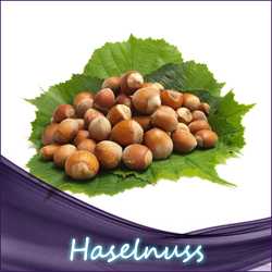 Hasselnuss eliquid