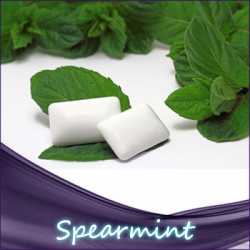 Spearmint Aroma 10ml Kaugummi