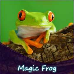 » AUSVERKAUFT « Magic Frog Liquid