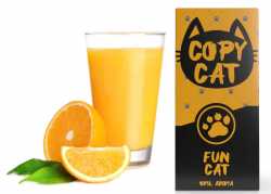 Orangen Limonade Fun Copy Cat Aroma 10ml