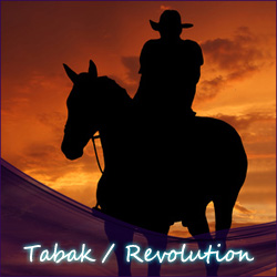 Tabak / Revolution (USA) Liquid⭐Best Preis Garantie