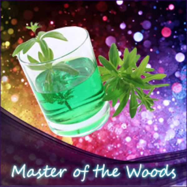 Liquid Master of the Woods für Ihre E Zigarette - Waldmeister mit Cumarinnote