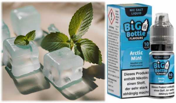 Artic Mint Menthol Minze Kälte Big Bottle Liquid 10ml Nikotinsalz