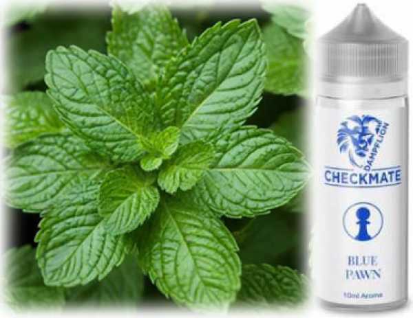 Blue Pawn Spearmint Kaugummi süße Minze Dampflion Checkmate 10-in-120ml