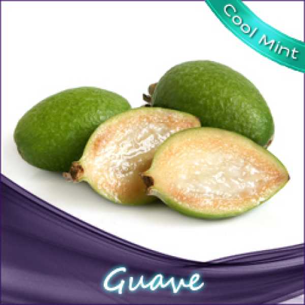 Guave + Cool Mint