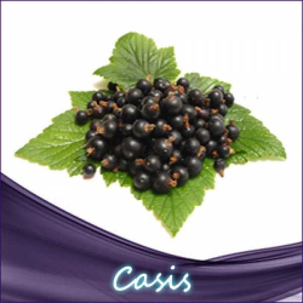 Johannisbeere Cassis Ribisel Aroma 10ml von Syndikat Aroma 5 bis 10%