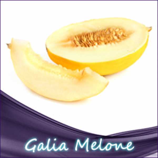 Galia Melonen eliquid