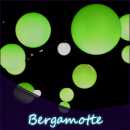 Bergamotte Liquid 10ml (Limette und Zitrone)