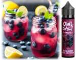 Blueberry Sour Raspberry Lemonade Blaubeeren Himbeeren sauer Limonade OWL Longfill Aroma 10-in-60ml Shake Vape Liquid