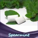 Spearmint Liquid 10ml leicht stärkere Süße